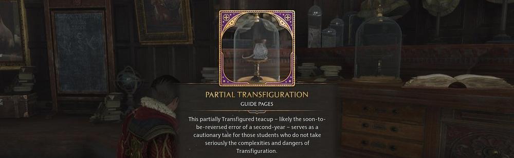 partially transfigured teacup in hogwarts legacy