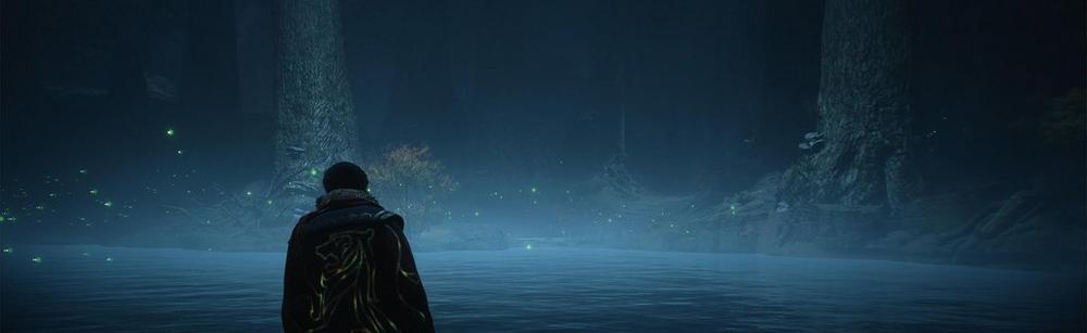 forbidden forest lake in Hogwarts legacy