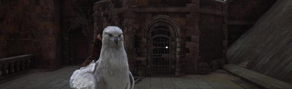 sirius blacks prison cell in hogwarts legacy